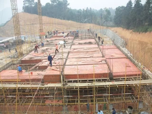 贵港碧桂园使用黑豹建筑木胶板50万张